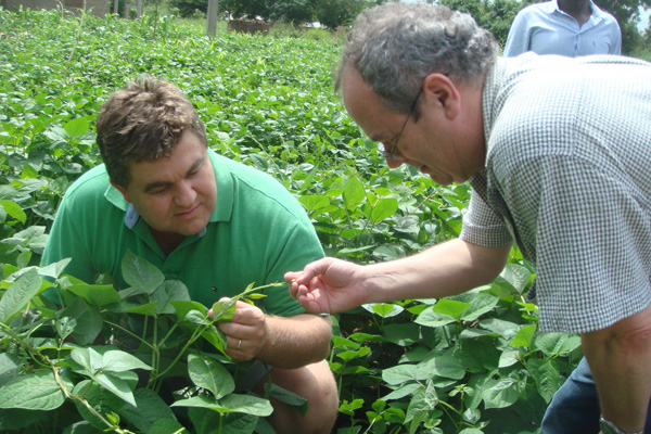 Battling Insects: Keeping Pesky Pod Borer, Bean Weevil at Bay